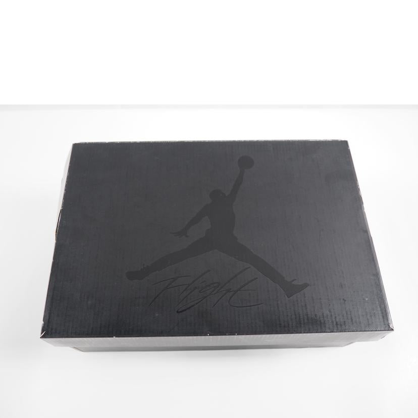 ＮＩＫＥ ナイキ/ＡＩＲ　ＪＯＲＤＡＮ　４　ＲＥＴＲＯ　ＦＬＹＫＮＩＴ/AQ3559-400//ABランク/79