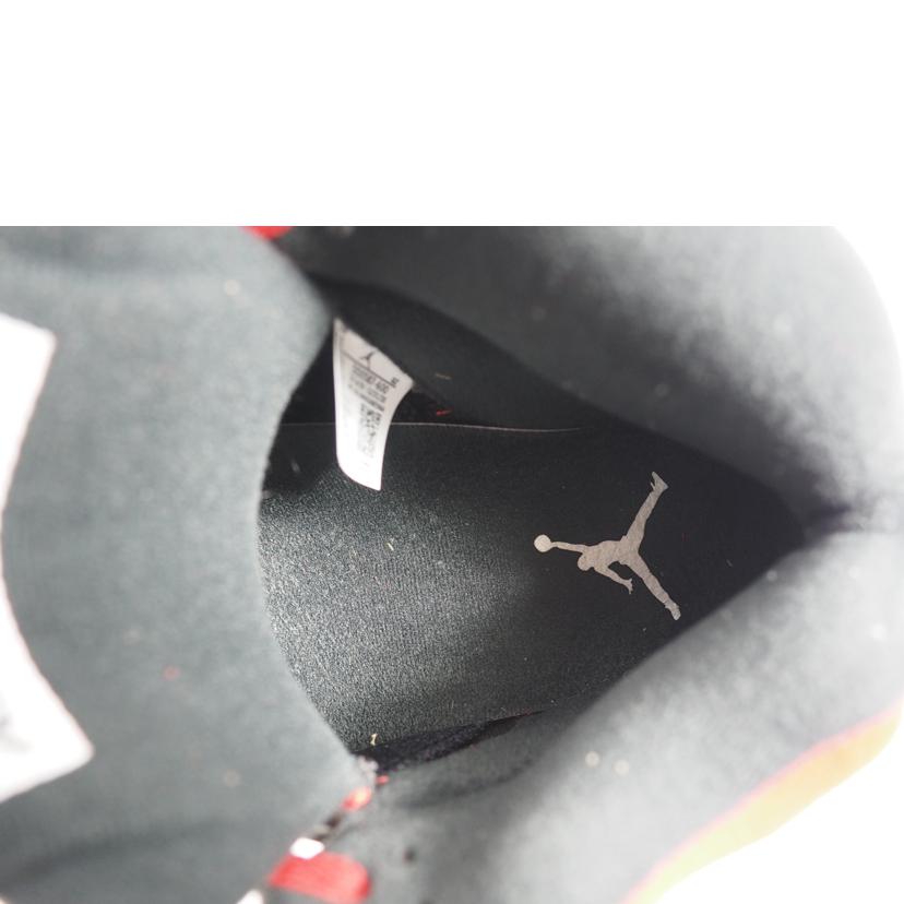 ＮＩＫＥ ナイキ/ＡＩＲ　ＪＯＲＤＡＮ　５　ＲＥＴＲＯ/DD0587-600//ABランク/79