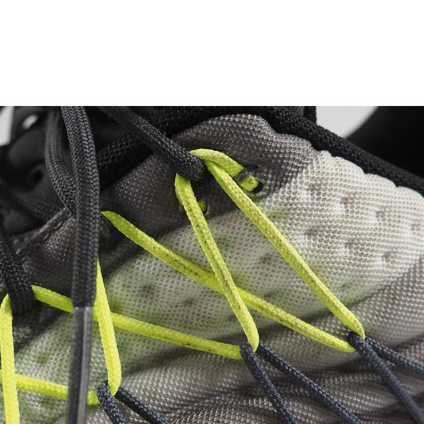 ＮＩＫＥ ナイキ/ＡＩＲ　ＭＡＸ　９５　ＵＬＴＲＡ　ＳＥ/845033-007//Bランク/79
