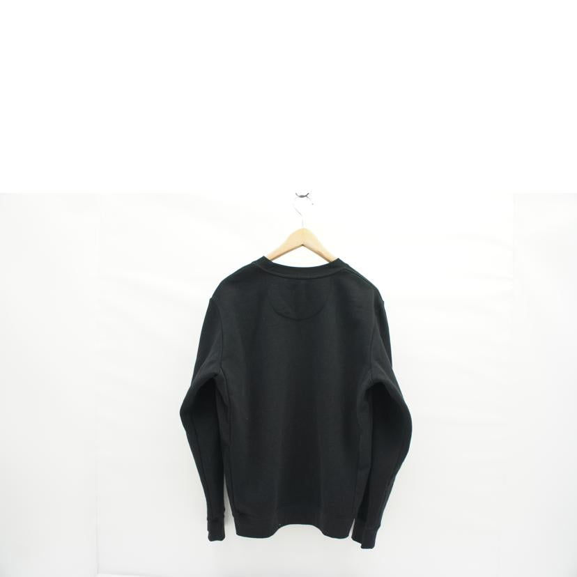 patagonia パタゴニア フィッツロイ・アイコン・アップライザル