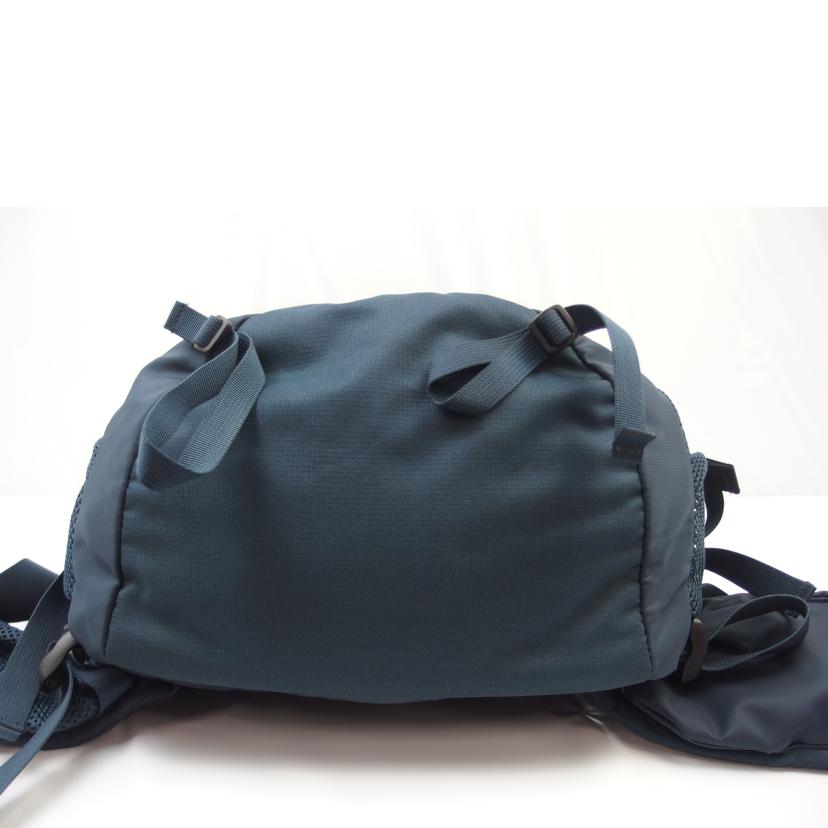 ＴＨＥ　ＮＯＲＴＨ　ＦＡＣＥ ザノースフェイス/ノースフェイス　テルス３０　Ｍサイズ　ドレスブルー/NM06111//ABランク/83