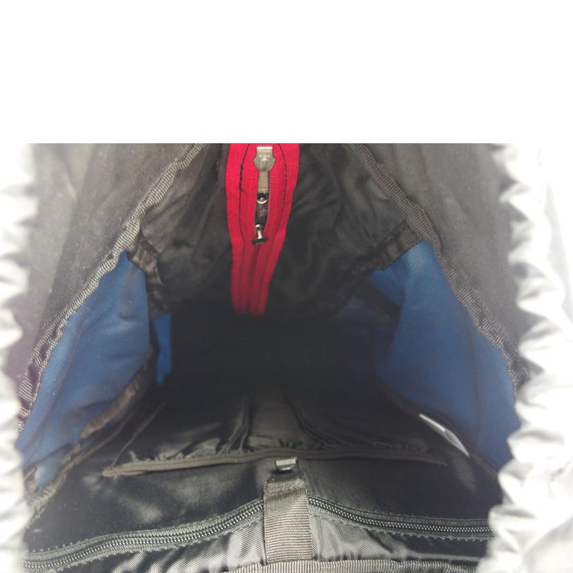 ＴＨＥ　ＮＯＲＴＨ　ＦＡＣＥ ザノースフェイス/ノースフェイス　テルス３０　Ｍサイズ　ドレスブルー/NM06111//ABランク/83
