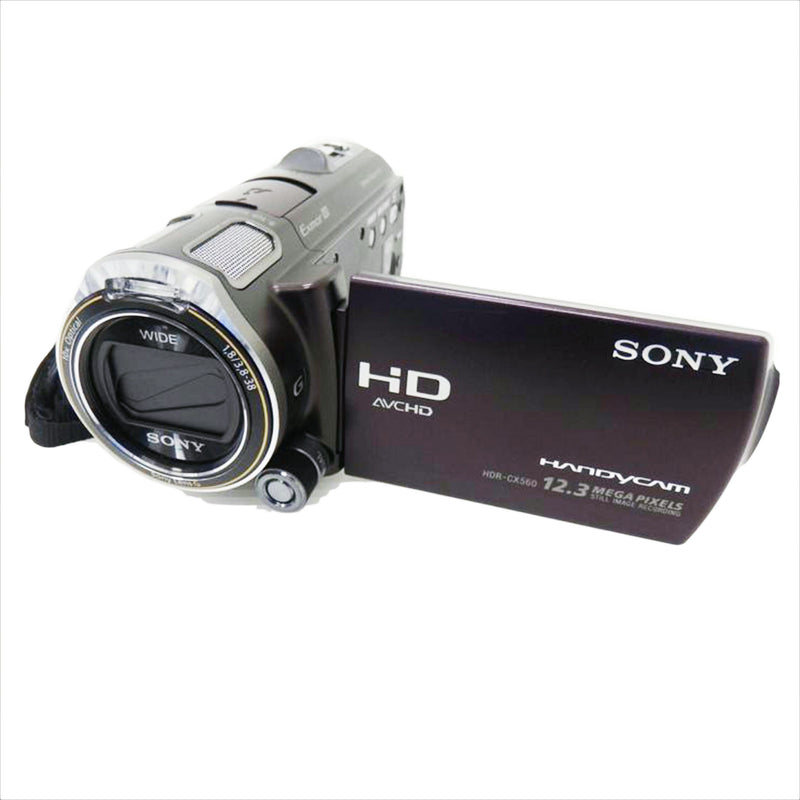 SONY HDR-CX560V ジャンク品 - ビデオカメラ