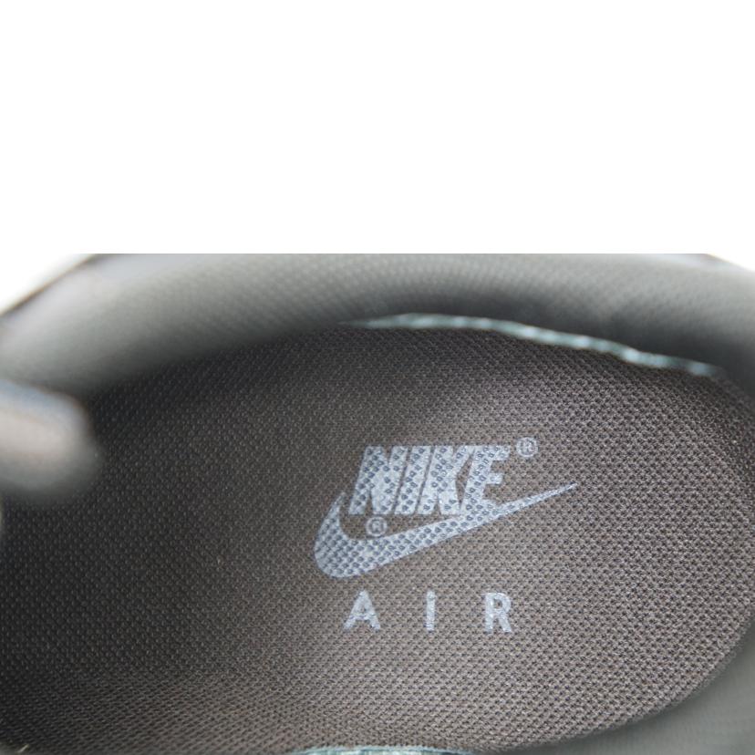 ＮＩＫＥ ナイキ/ＮＩＫＥ　エアフォース１　ゴアテックス　２４．５ＣＭ/CT2858-201//SAランク/75