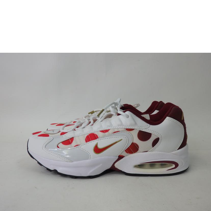 ＮＩＫＥ/ＡＩＲ　ＭＡＸ　ＴＲＩＡＸ／ＮＩＰＰＯＮ/CW4809-167//ABランク/84
