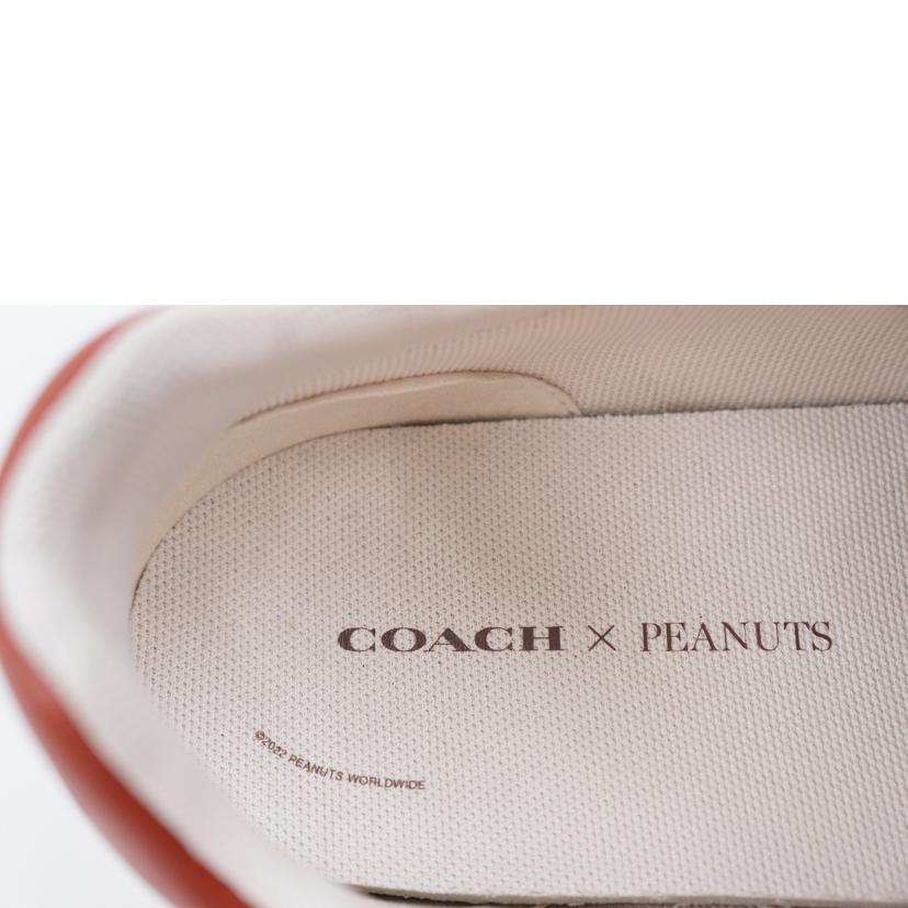 ＣＯＡＣＨ コーチ/ＣＯＡＣＨ×ＰＥＡＮＵＴＳ　クリップロートップスニーカー　２７．０/CF162//Aランク/67