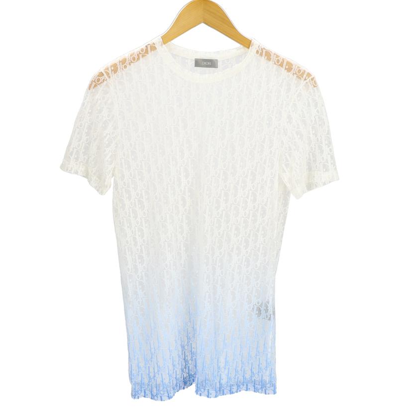 ＤＩＯＲ ディオール/グラデーションオブリークＴシャツ・ＷＨ／ＢＬ/023J600A0625//ABランク/85