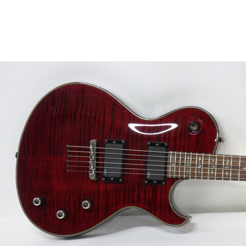 Ｓｃｈｅｃｔｅｒ シェクター/エレキギター/DAMIEN SOLO ELITE//W10093593/Cランク/63