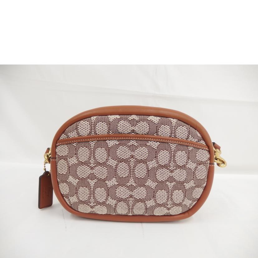 ＣＯＡＣＨ コ－チ/ディズニ－バ－クス×ミッキ－＆フレンドエンプロイダリ－/C8555//A22**/ABランク/82