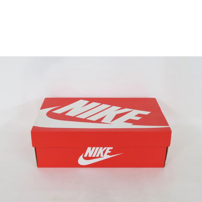 ＮＩＫＥ ナイキ/Ｗ　ＤＵＮＫ　ＬＯＷ　ＳＥ　スニーカー/DD7099-100//ABランク/81