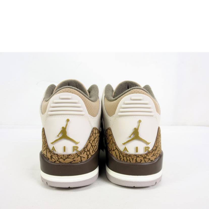 ＮＩＫＥ NIKE/ＮＩＫＥ　ＡＩＲ　ＪＯＲＤＡＮ　３　ＲＥＴＲＯ/CT8532-102//ABランク/70