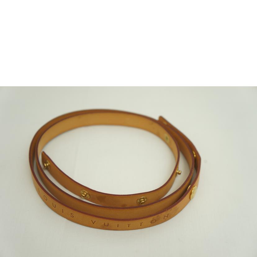 ＬＯＵＩＳ　ＶＵＩＴＴＯＮ ルイ・ヴィトン/ポシェット・フロランティーヌ/M51855//FL0032/Bランク/09