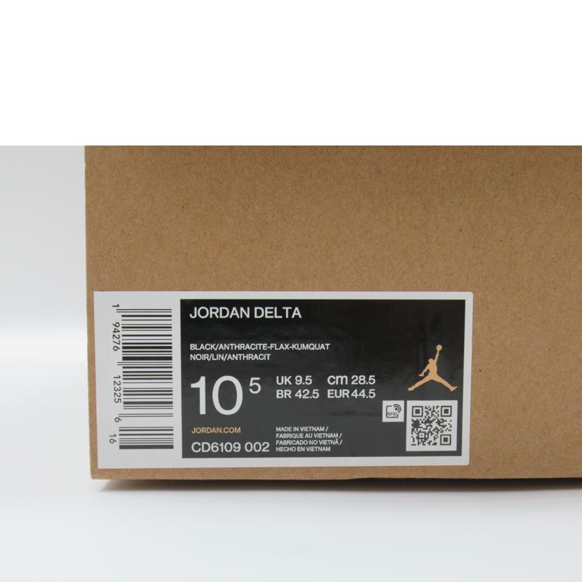 NIKE/JORDAN DELTA/CD6109-002//Sランク/63