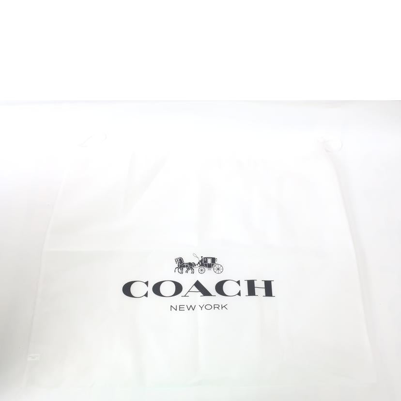 ＣＯＡＣＨ コーチ/メンズリュック　バックパック　迷彩　ミリタリー　カモフラージュ/F31319//F1847/Aランク/65
