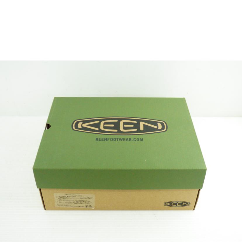 ＫＥＥＮ キーン/ＴＨＥ　ＳＬＡＴＥＲ　Ⅱ/1021657//Aランク/64