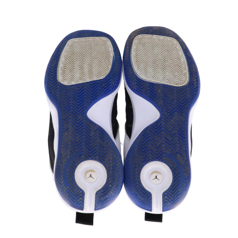ＮＩＫＥ/ＮＩＫＥ　ＪＯＲＤＡＮ　ジャンプマン　２０２０　２９ｃｍ/BQ3448-401//ABランク/75