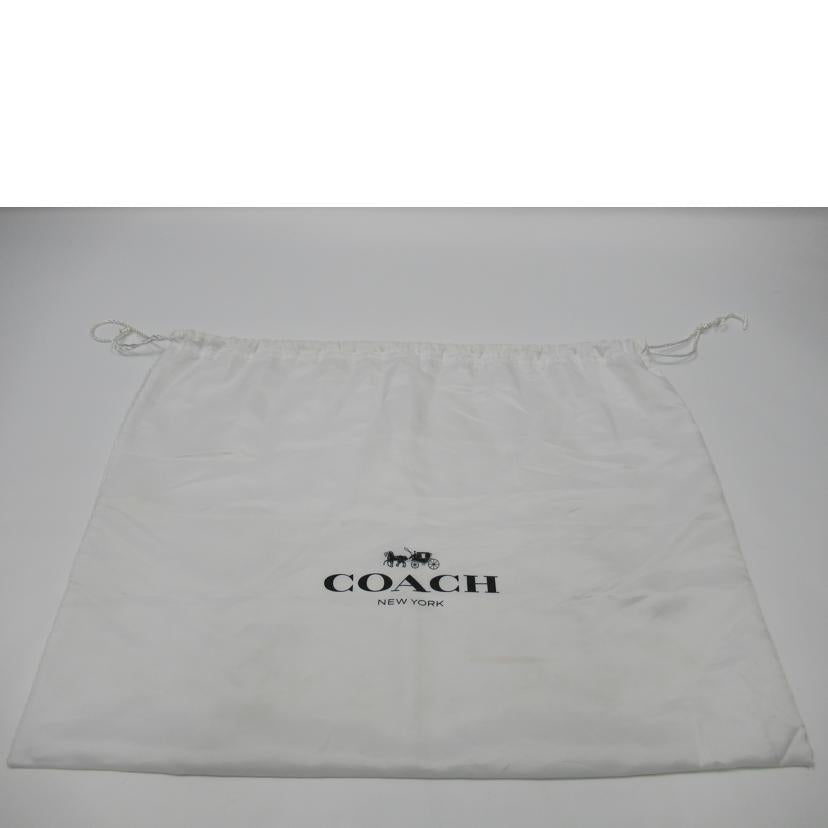 　　ＣＯＡＣＨ/ショルダーバッグ／レザー/F54746//D1821/ABランク/63