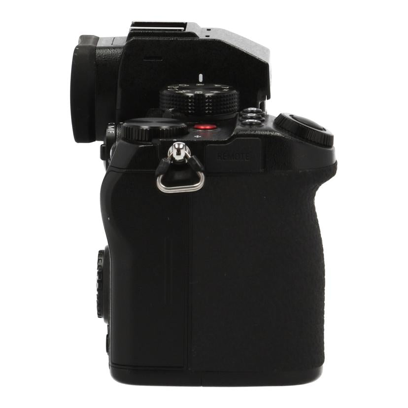 Ｐａｎａｓｏｎｉｃ パナソニック/ミラーレスデジタル一眼/LUMIX DC-S5 ボディ//WJOSA003791/Bランク/62