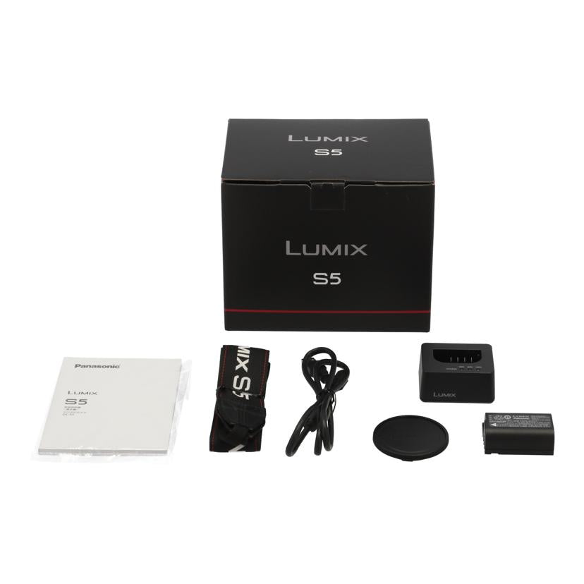 Ｐａｎａｓｏｎｉｃ パナソニック/ミラーレスデジタル一眼/LUMIX DC-S5 ボディ//WJOSA003791/Bランク/62