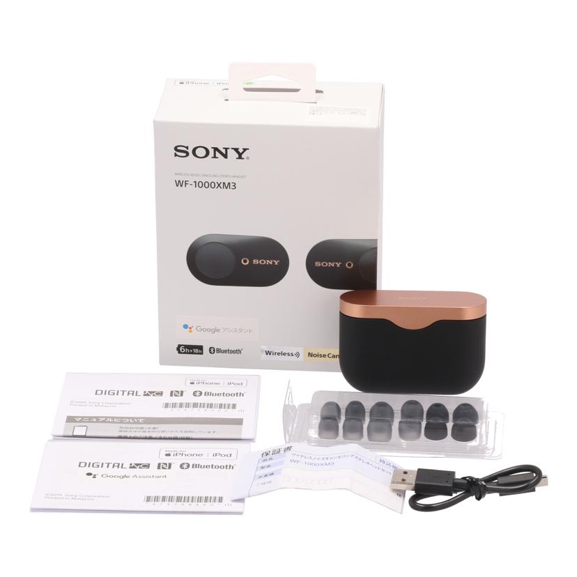 ＳＯＮＹ ソニー/イヤホン/WF-100XM3//5271184/Bランク/62