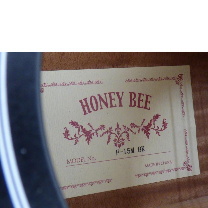 ＨＯＮＥＹ　ＢＥＥ ハニービー/アコースティックギター／Ｆ－１５Ｍ/F-15M//ABランク/64