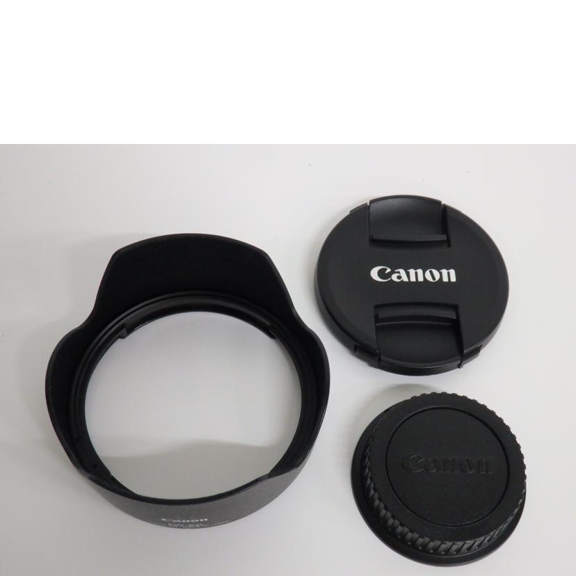 Ｃａｎｏｎ キャノン/交換レンズ／２４－７０ｍｍ/EF24-70mm F4L IS USM//0100008181/Cランク/85