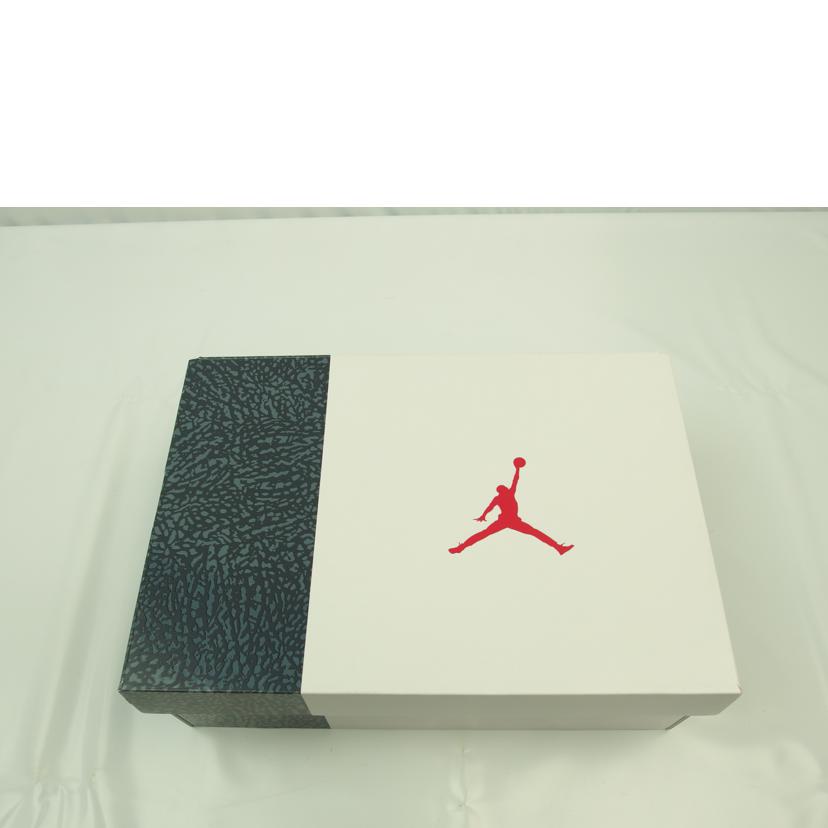 ＮＩＫＥ/ＮＩＫＥ　ＡＩＲ　ＪＯＲＤＡＮ３　ＲＥＴＲＯ　ＳＥ－Ｔ/CZ6433-100//ABランク/83