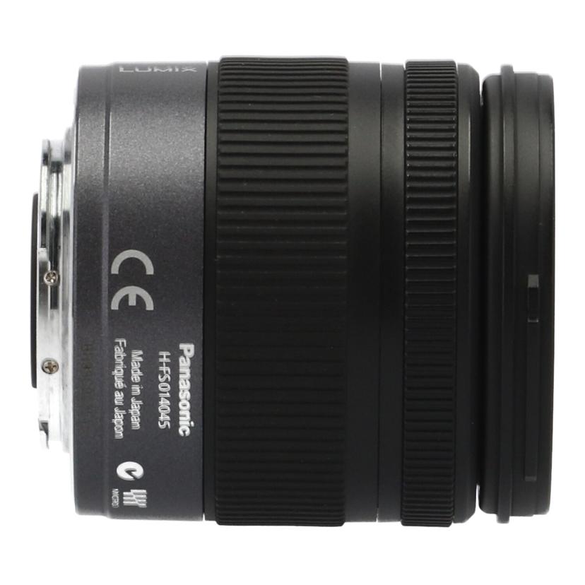 Ｐａｎａｓｏｎｉｃ パナソニック/交換レンズ/H-FS014045//BR9SC003518/Bランク/02