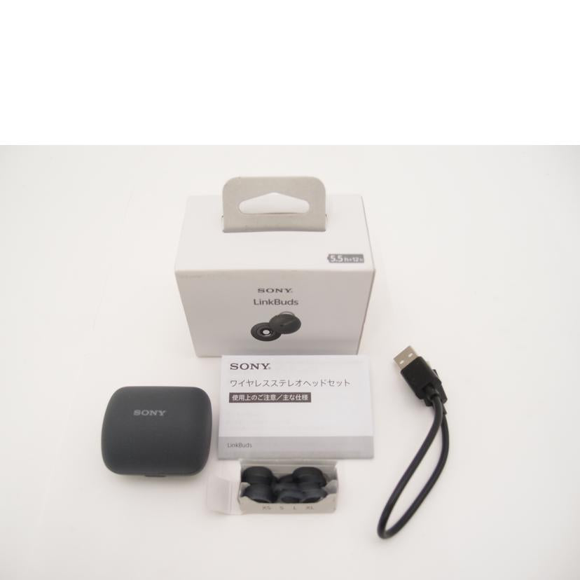 ＳＯＮＹ ソニー/ワイヤレスイヤホン/LinkBuds WF-L900//5109110/Aランク/69