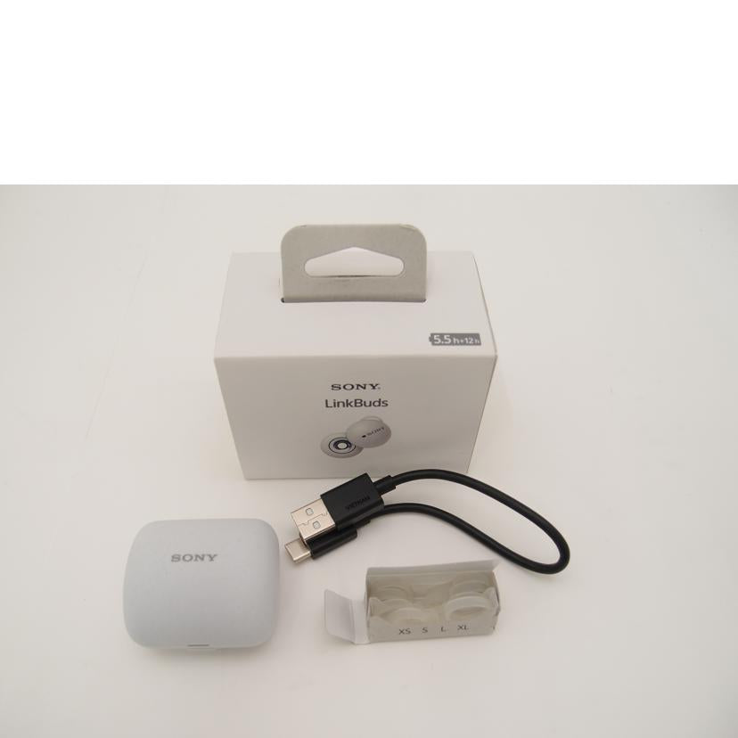 ＳＯＮＹ ソニー/ワイヤレスイヤホン/LinkBuds WF-L900//5070310/Aランク/69