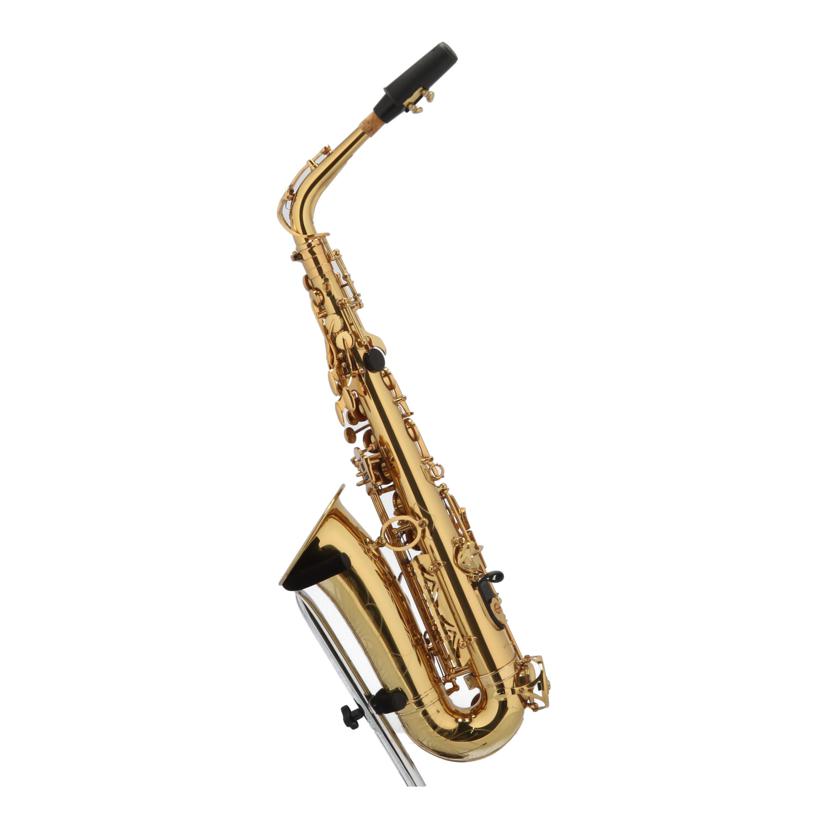 DeYu アルトサックス Amazon.co.jp: DeYu A500 入門用アルトサックス (デユー) : 楽器