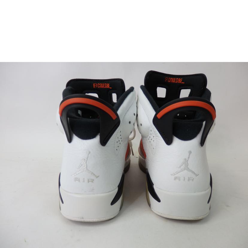 ＮＩＫＥ NIKE/ＮＩＫＥ　ＡＩＲ　ＪＯＲＤＡＮ　６　ＲＥＴＲＯ　２８．０ｃｍ/384664-145//ABランク/84