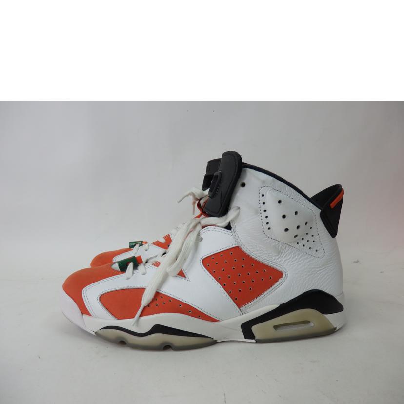 ＮＩＫＥ NIKE/ＮＩＫＥ　ＡＩＲ　ＪＯＲＤＡＮ　６　ＲＥＴＲＯ　２８．０ｃｍ/384664-145//ABランク/84