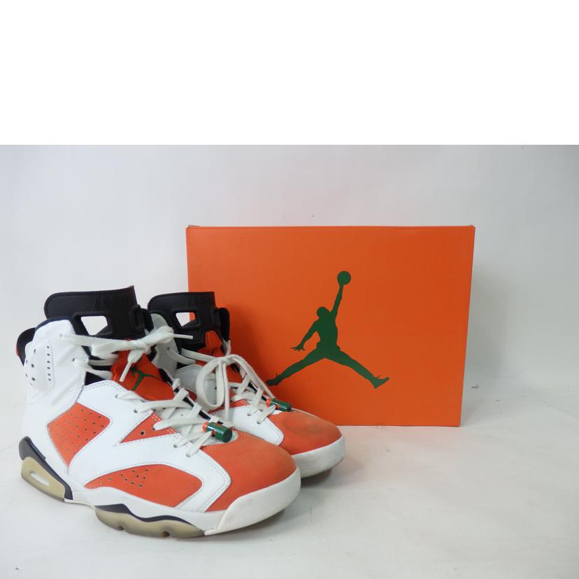 ＮＩＫＥ NIKE/ＮＩＫＥ　ＡＩＲ　ＪＯＲＤＡＮ　６　ＲＥＴＲＯ　２８．０ｃｍ/384664-145//ABランク/84