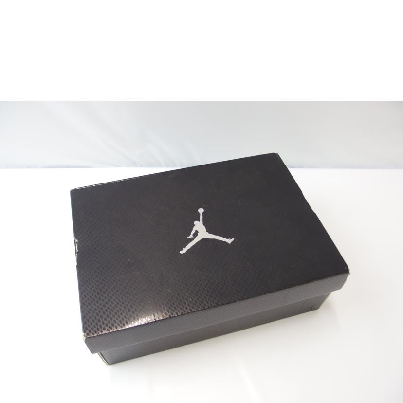 ＮＩＫＥ ナイキ/ＮＩＫＥ　ＡＩＲ　ＪＯＲＤＡＮ　１１スネークスキン　/CD6846-102//ABランク/83