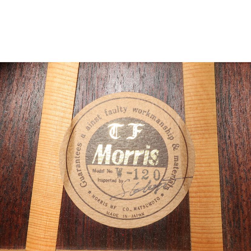 Ｍｏｒｒｉｓ モーリス/アコースティックギター/W-120//100109/ABランク/65