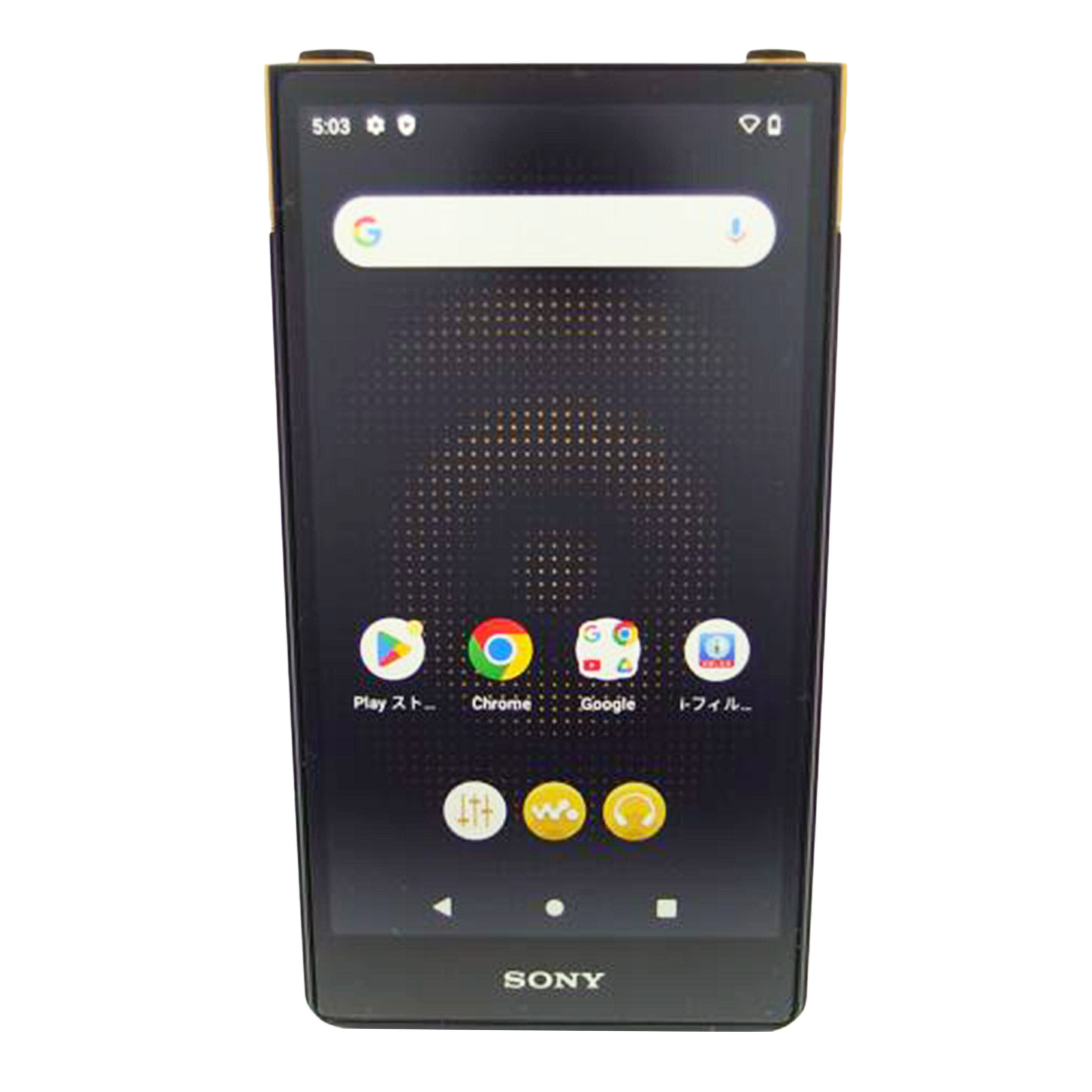 ＳＯＮＹ SONY/ポータブルウォークマン/NW-ZX707//1010077/Aランク/83