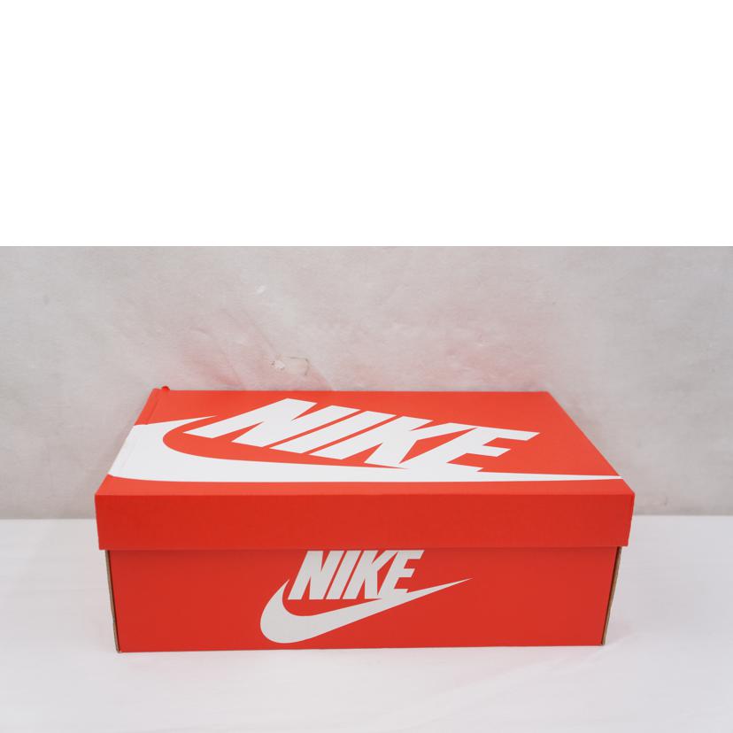 ＮＩＫＥ ナイキ/ＮＩＫＥ　ＤＵＮＫ　ＨＩ　ＲＥＴＲＯ　ＳＥ/DQ7680 300//ABランク/67