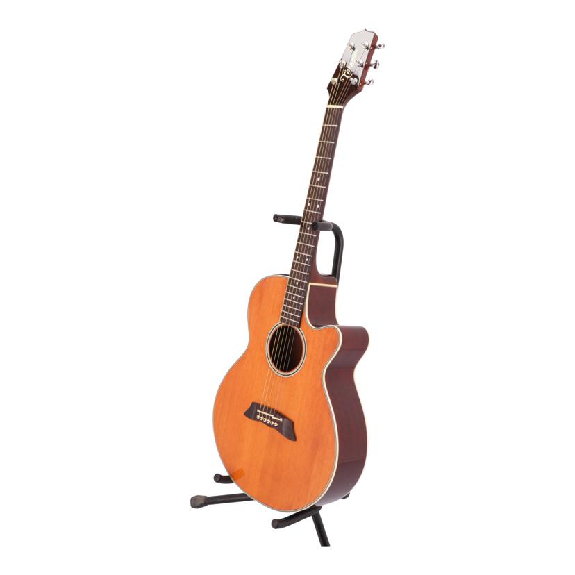 PT106 Takamine エレアコ アコギ しぶとい