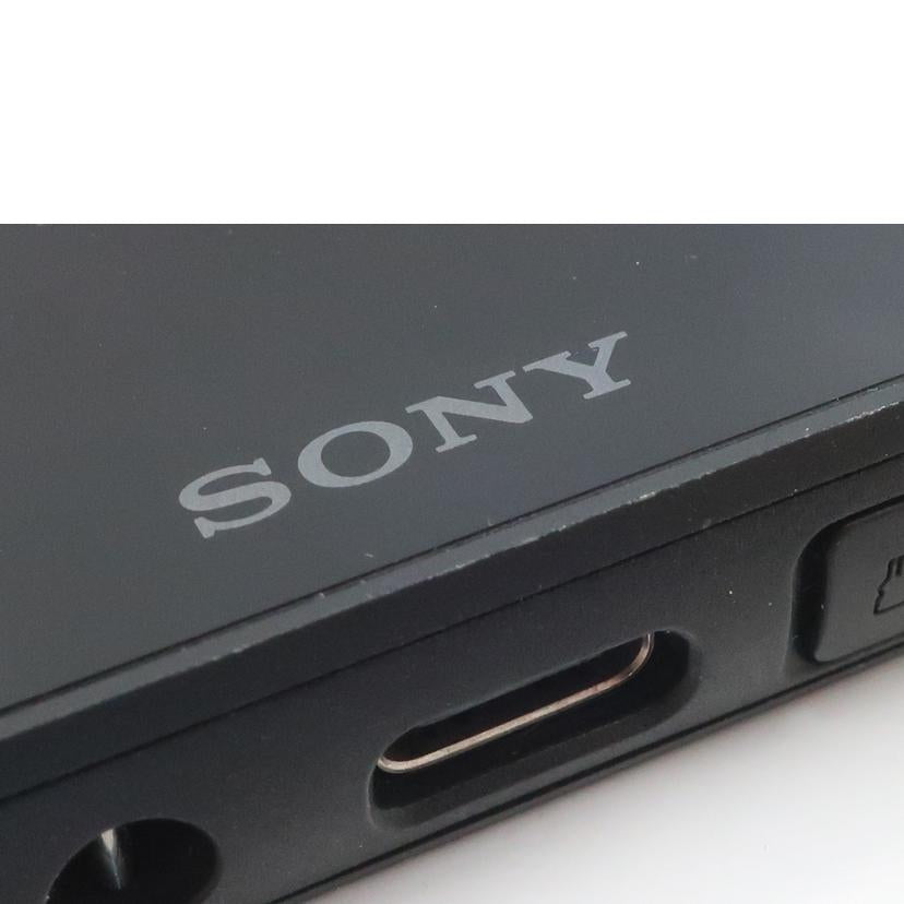 ＳＯＮＹ ソニー/ウォークマン　ＮＷ－Ａ１０６　３２ＧＢ/NW-A106//5099906/ABランク/65