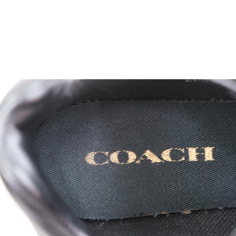 ＣＯＡＣＨ コーチ/ＣＯＡＣＨ　スニーカー//ABランク/67