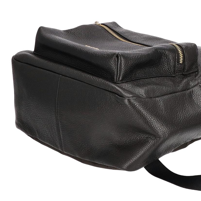 ＣＯＡＣＨ コーチ/バックパック/F29004//L19**/Aランク/75