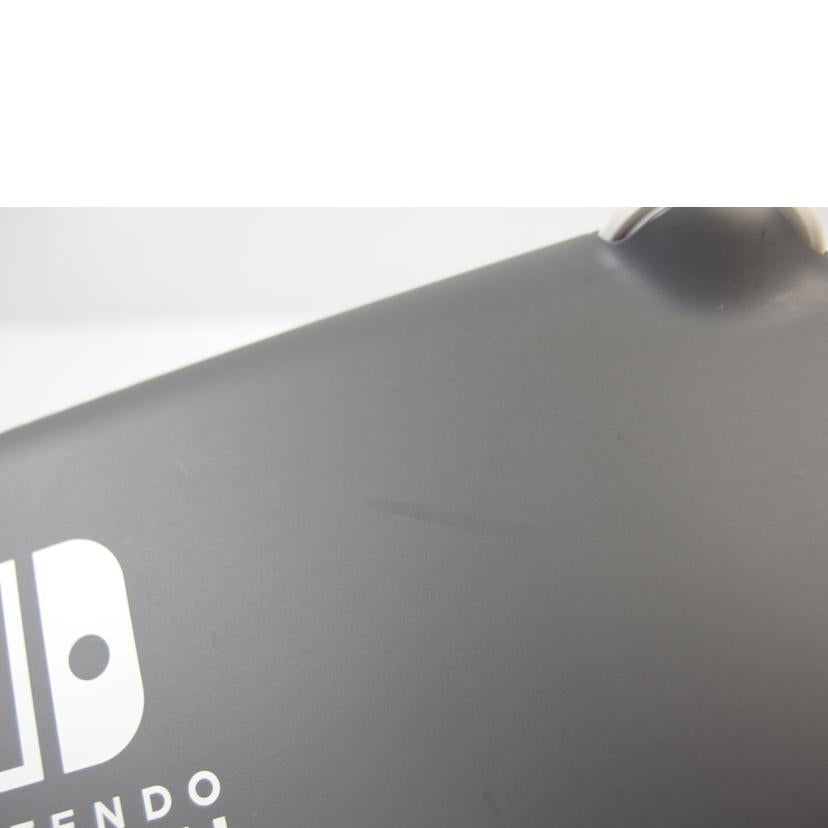 Ｎｉｎｔｅｎｄｏ Nintendo/ＳＷＩＴＣＨ　Ｌｉｔｅ/HDH-001//XJJ10001879680/ABランク/83