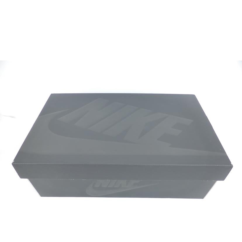 ＮＩＫＥ ナイキ/ＮＩＫＥ　ＤＵＮＫ　ＨＩ／Ｆ/DJ382-600//ABランク/43