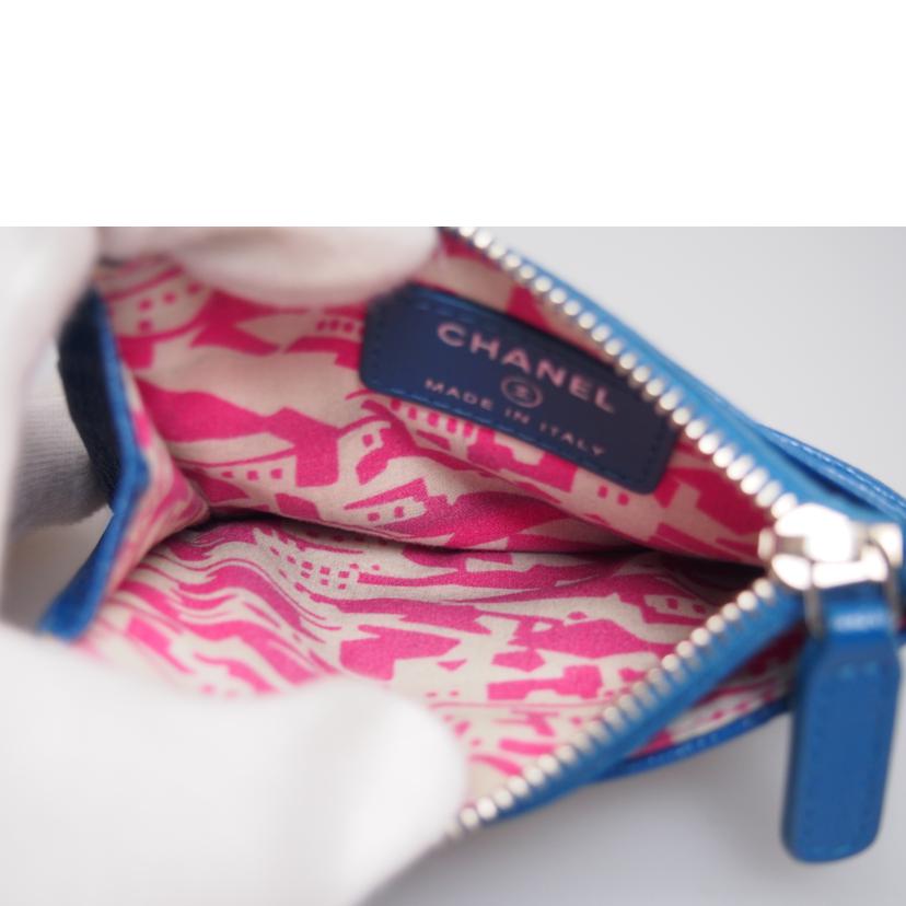 ＣＨＡＮＥＬ シャネル/マルチパスケース/AP0291//30676725/ABランク/76