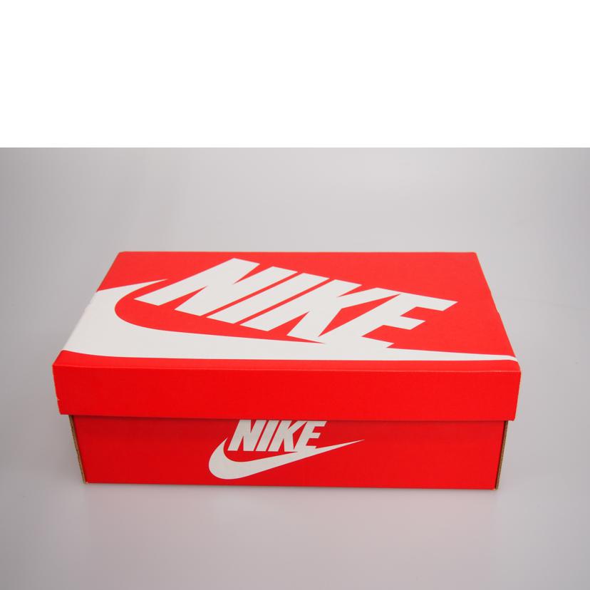 ＮＩＫＥ ナイキ/ＮＩＫＥ　ワッフル１/DA7995-300//00194953581324/Sランク/76