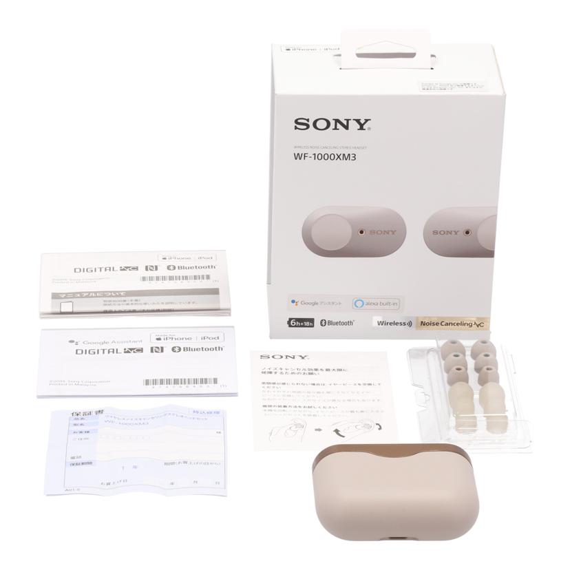 ＳＯＮＹ ソニー/ワイヤレスイヤホン/WF-1000XM3//S016658279T/Bランク/65