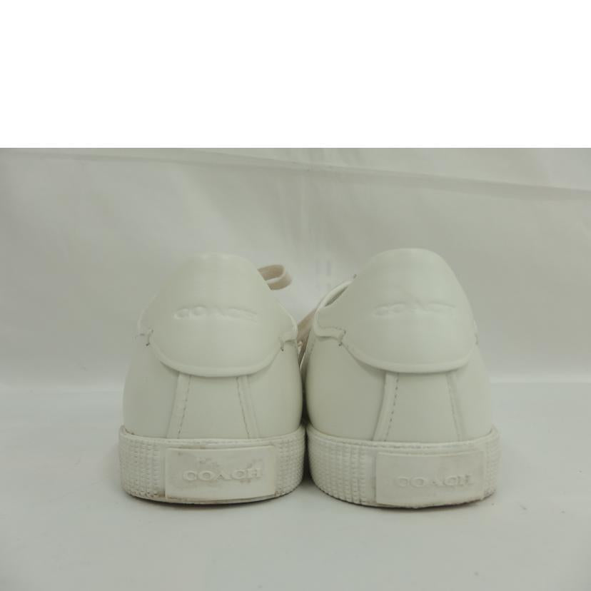 ＣＯＡＣＨ ｺｰﾁ/レザーローカットスニーカー/FG4411//ABランク/82