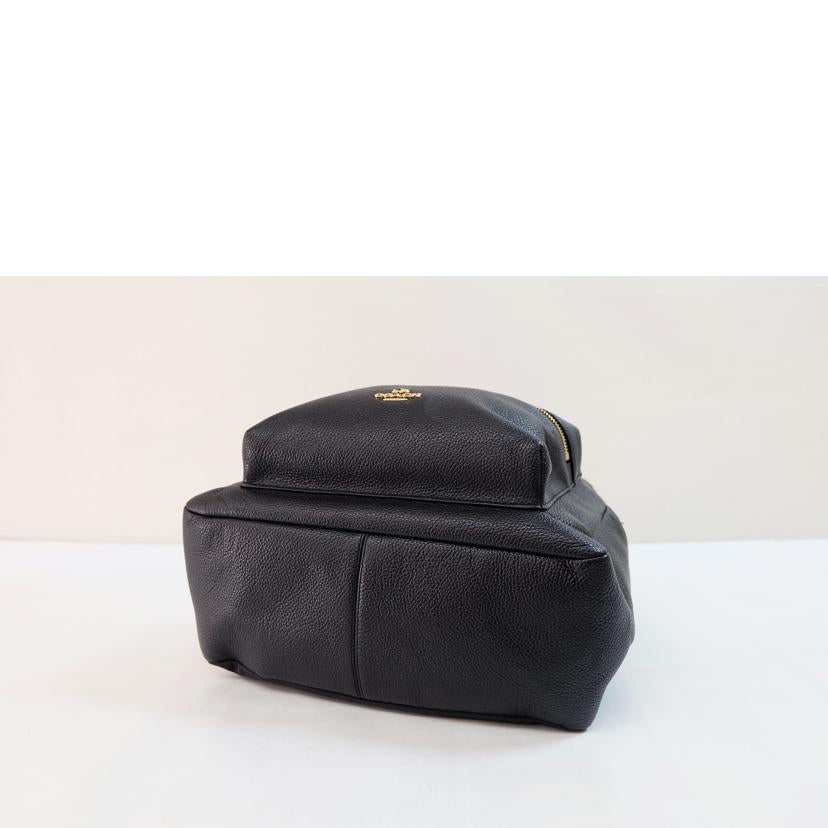 　　ＣＯＡＣＨ コーチ/レザーバックパック/F38288//J17**/Bランク/71