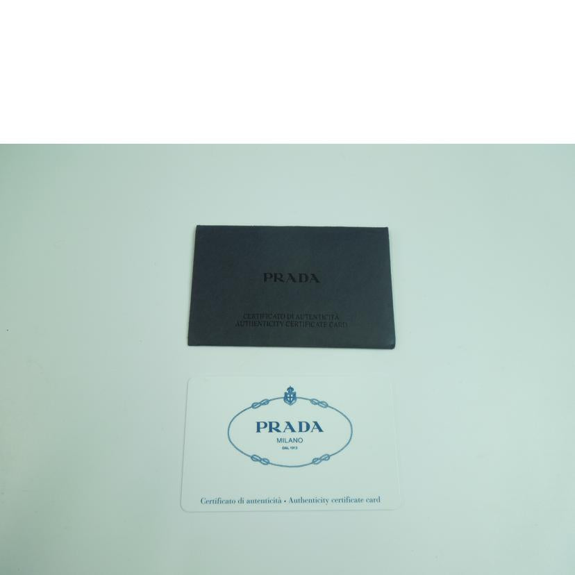 ＰＲＡＤＡ プラダ/ナイロンポーチ/1N0012//224/ABランク/83